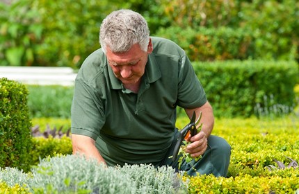 Head Gardener Head Gardener