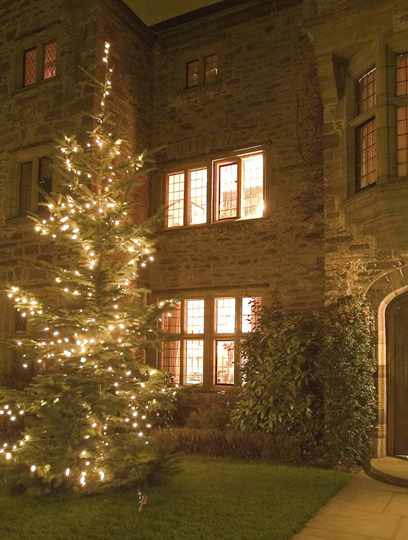 Christmas tree outside entrance to Bodysgallen Hall