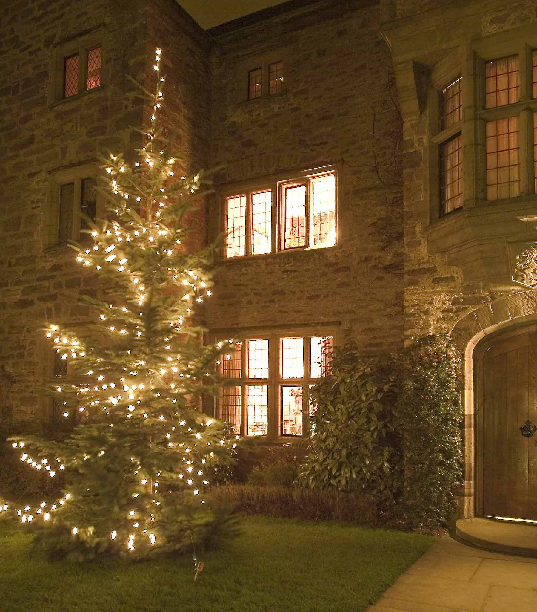 Christmas tree outside entrance to Bodysgallen Hall
