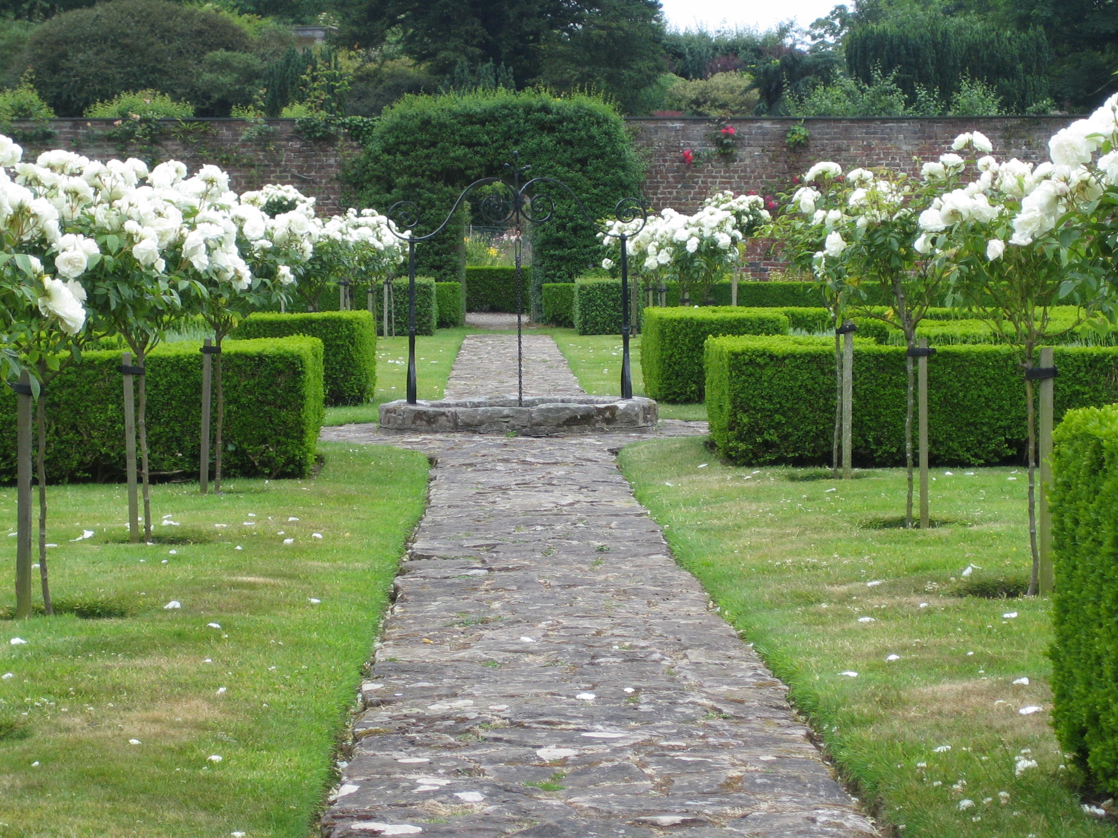 Summer white rose garden at Bodysgallen Hall 