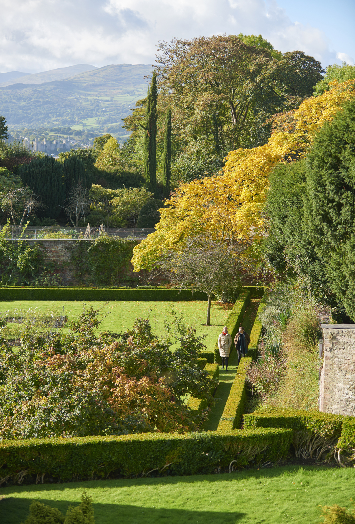 Autumn view across rose garden to Snowdonia