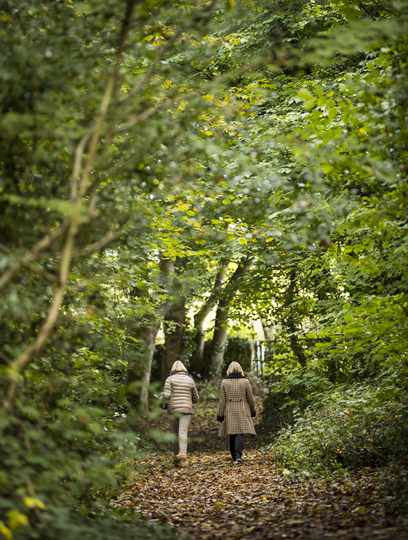 Guests walking in woodland at Bodysgallen Hall